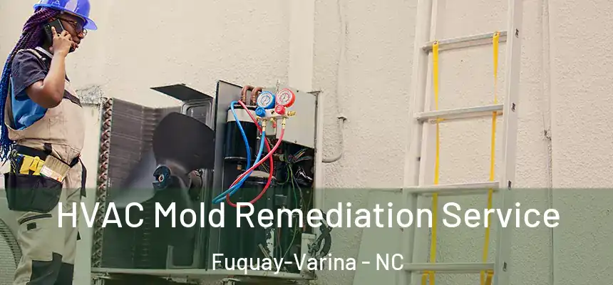  HVAC Mold Remediation Service Fuquay-Varina - NC