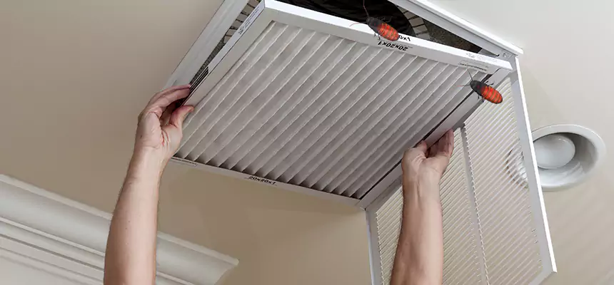 Preventive Cockroach-Proofing for Ducts in Fuquay-Varina