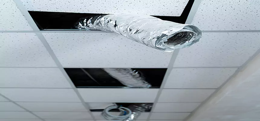 Our Air Duct Pet Hair Removal Services in Fuquay-Varina, NC