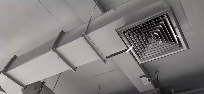 Restorative Allergy Relief Vent Cleaning – Coil, Blower & Housing Detail in Fuquay-Varina