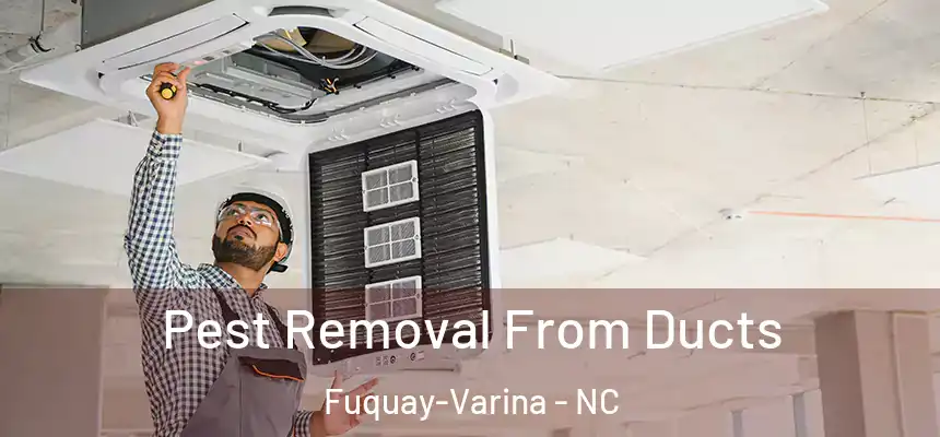  Pest Removal From Ducts Fuquay-Varina - NC