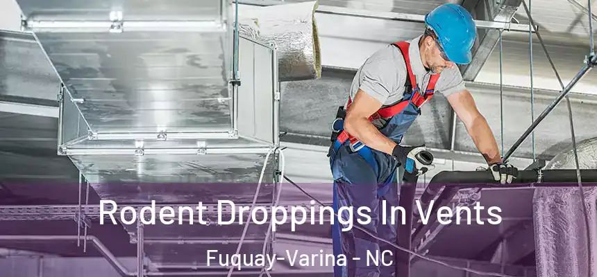  Rodent Droppings In Vents Fuquay-Varina - NC