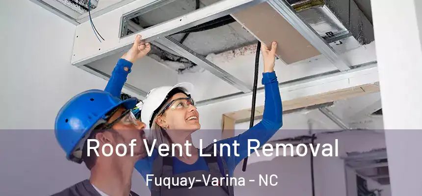  Roof Vent Lint Removal Fuquay-Varina - NC