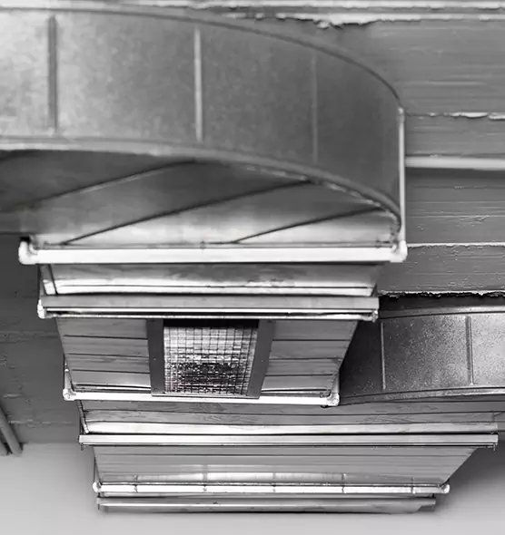 Professional Air Duct Pest Removal in Fuquay-Varina, NC