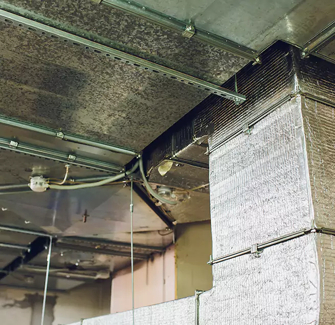 Why Homeowners & Businesses Trust Us in Fuquay-Varina, NC?